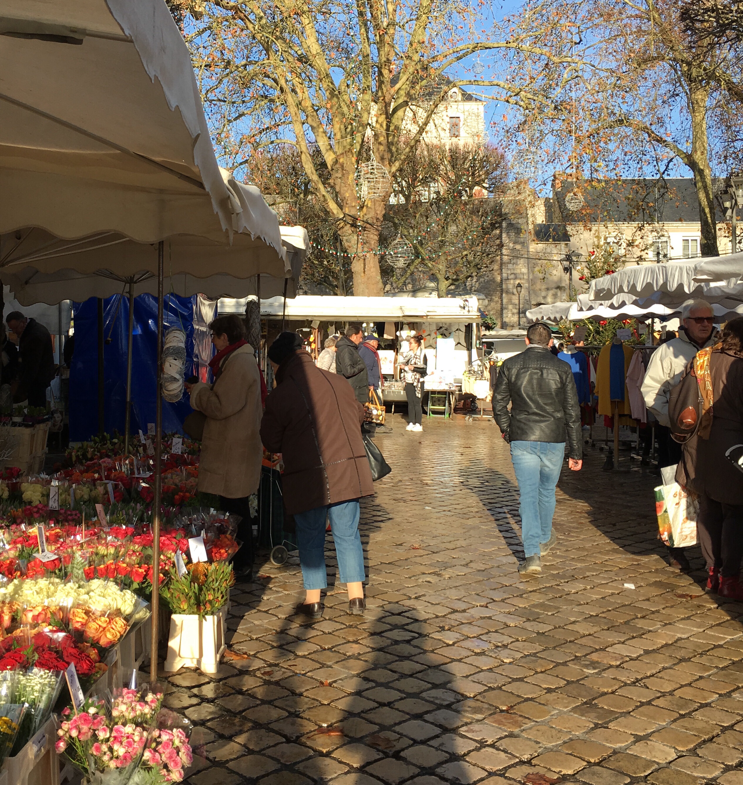 Sun at the Market Soleil au marché L o i r e D a i l y P h o t o