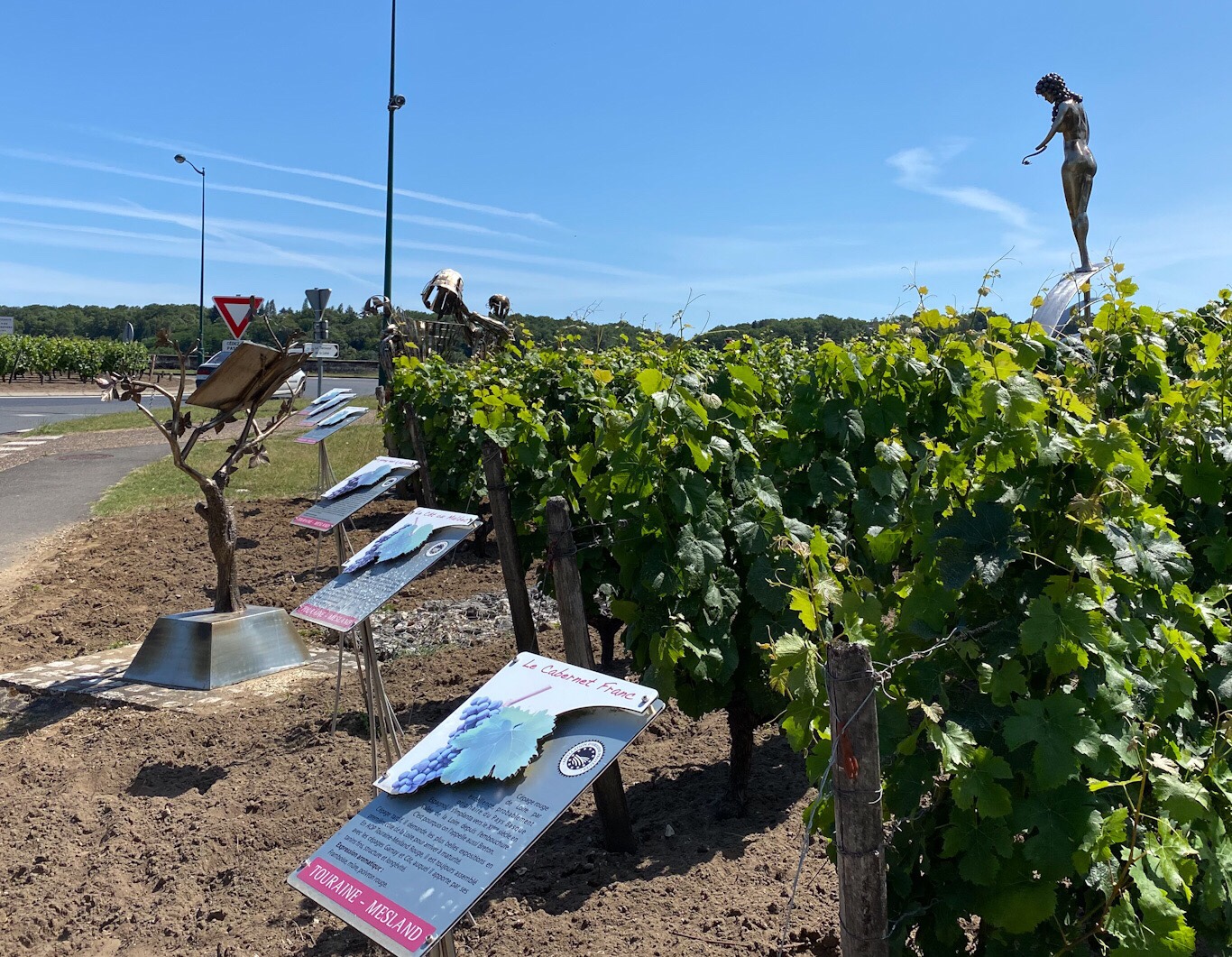 TouraineMesland Wine Loire Daily Photo